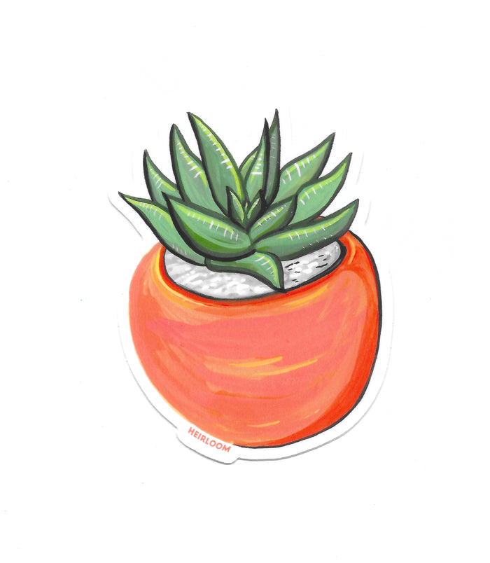A hand painted design that has a small aloe vera planted in a round orange terra cotta pot with white rocks on top of the soil.
