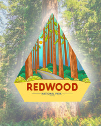 Redwood National Park Vinyl Sticker - California