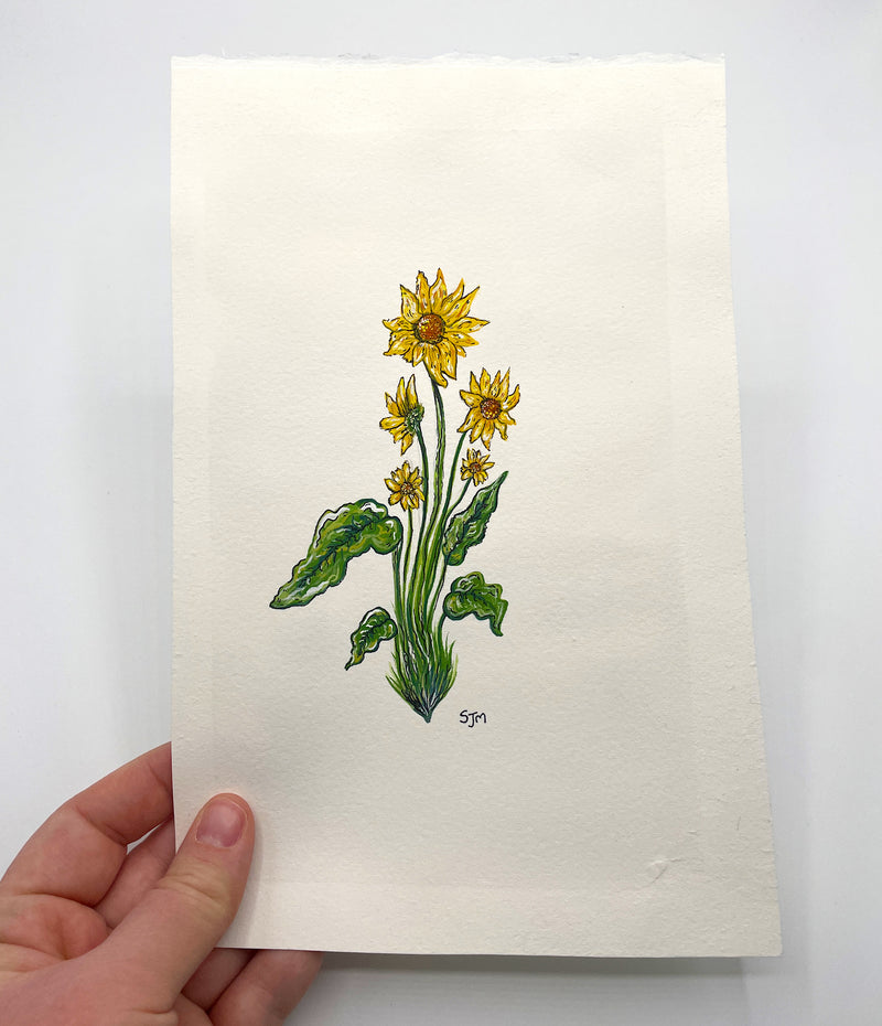 “5 Flowers - Arrowleaf Balsamroot” Original Gouache and Pen Painting
