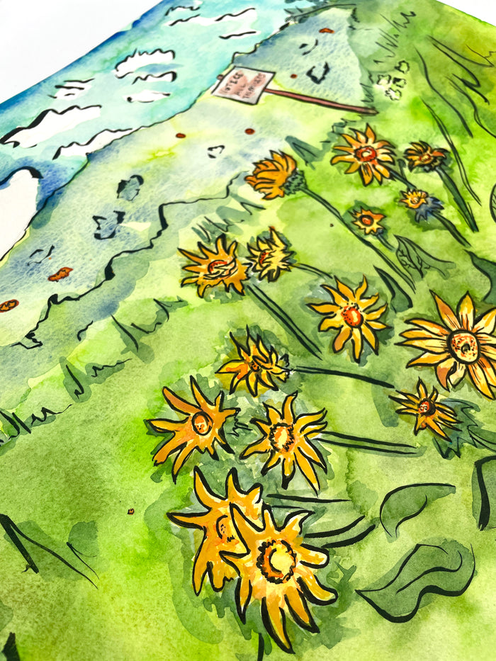 “No Trespassing, Balsamroot Flowers” Original Watercolor Painting - Unframed