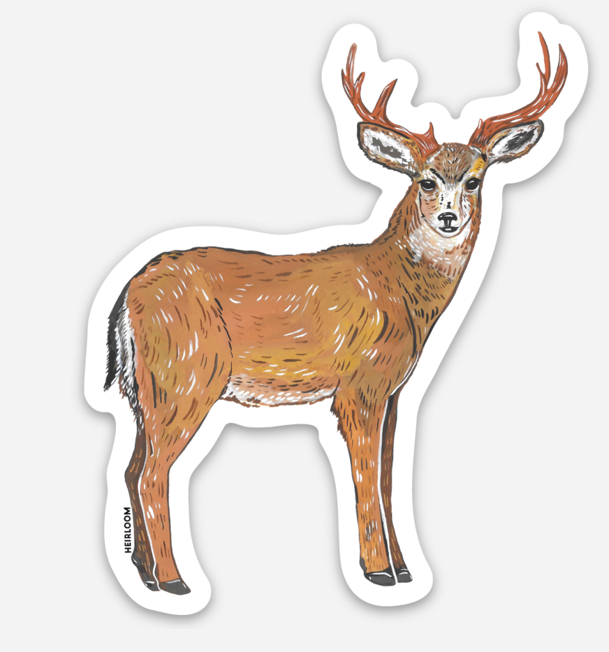 Buck Deer Sticker - Animal Vinyl Decal