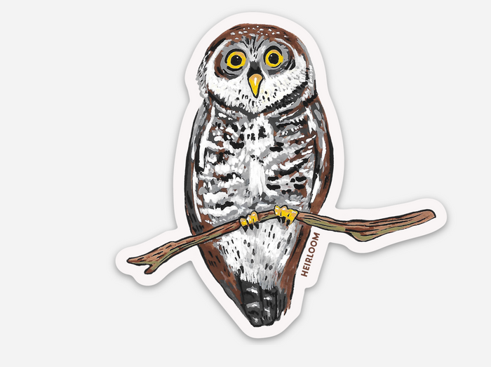 Owl on a Branch Sticker - Vinyl Decal