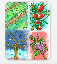Apple Orchard Seasons Sticker - Rounded Corner Vinyl Decal