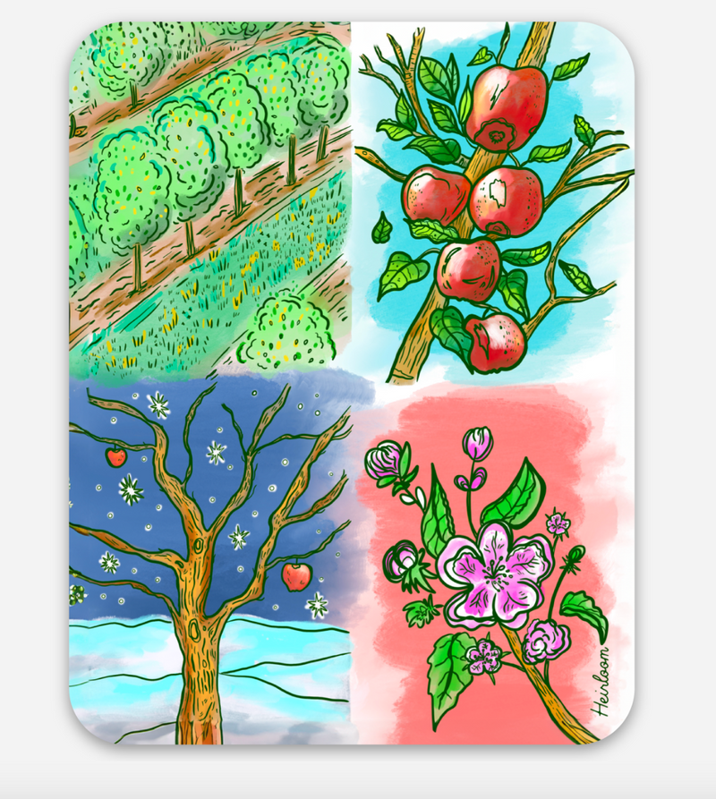 Apple Orchard Seasons Sticker - Rounded Corner Vinyl Decal