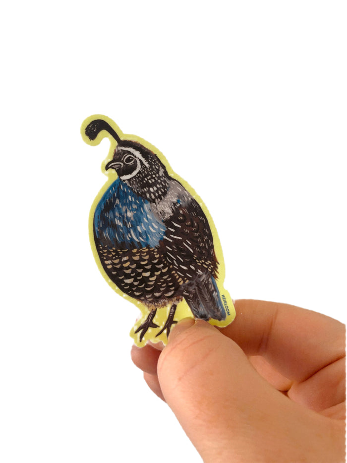 Quail Vinyl Sticker