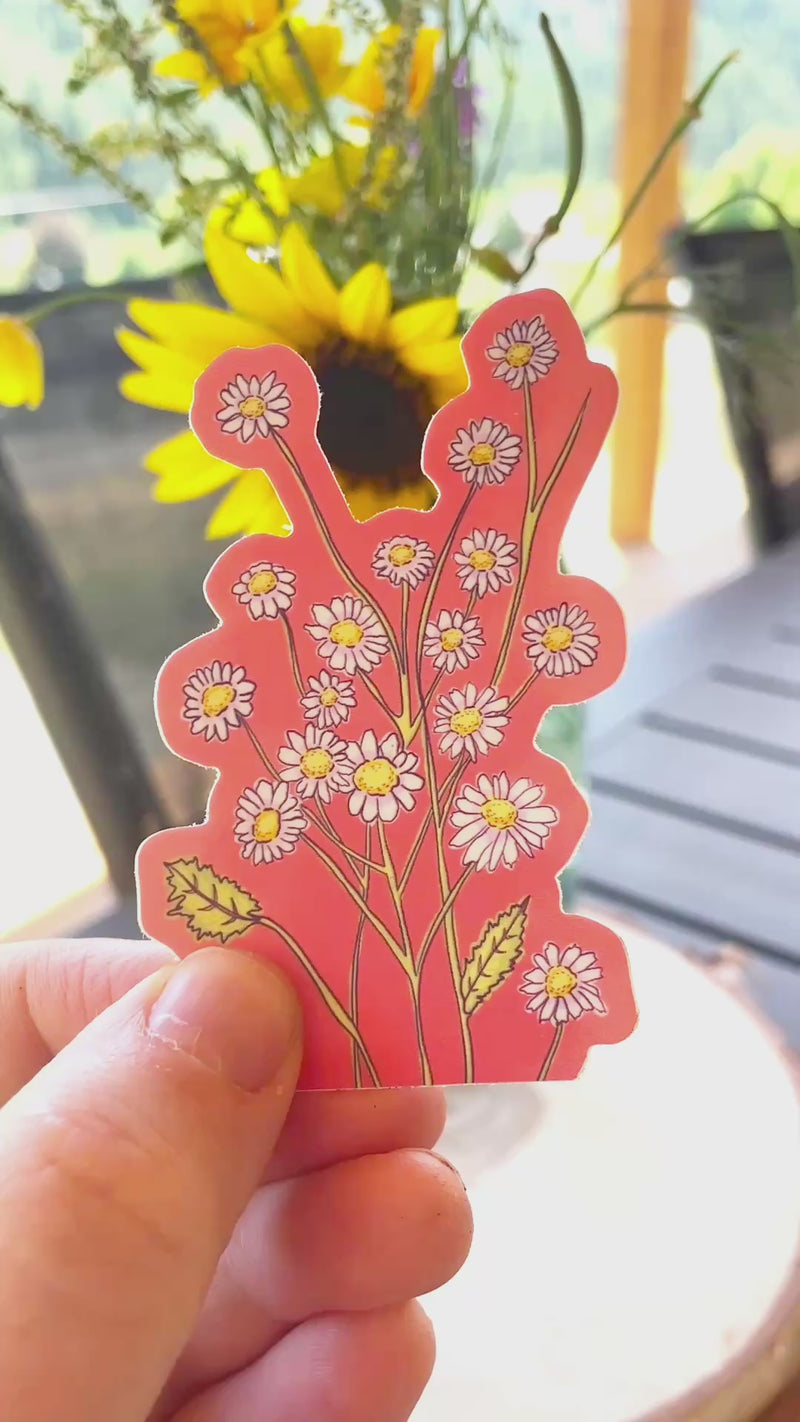 Feverfew Flowers Vinyl Sticker
