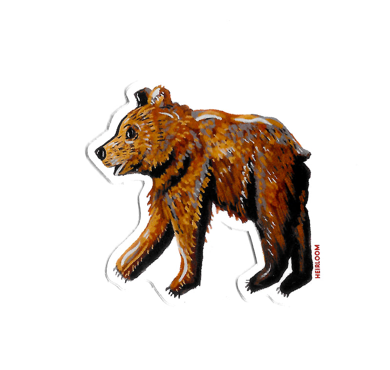 A hand-painted sticker design of a brown bear cub with soft brown strokes of paint and shadows in black and highlights in white. On a white background.