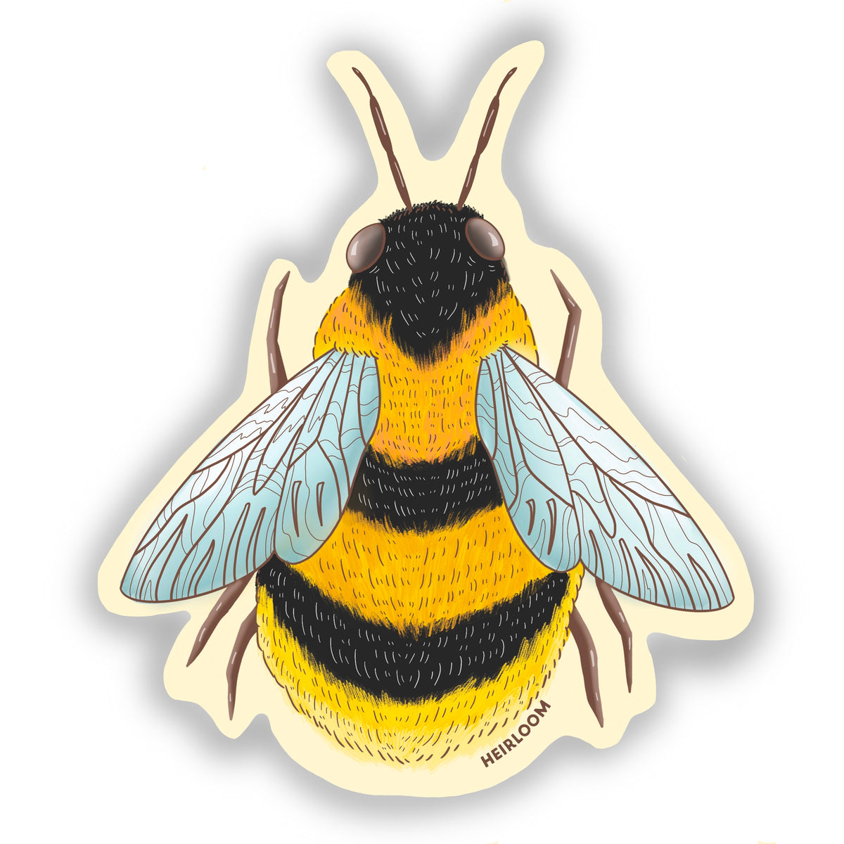 A black and yellow fluffy bumble bee with light blue wings on a light yellow background. The view is from over top of the bee.
