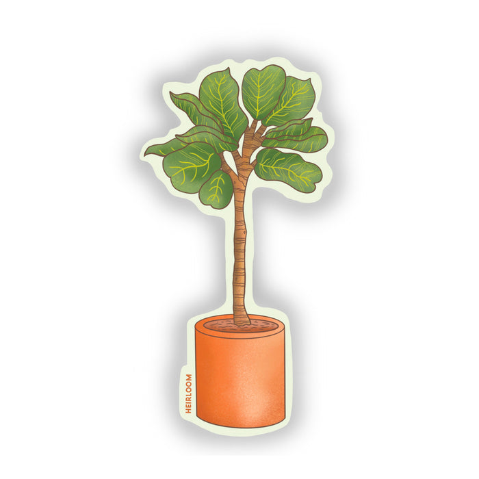 Fiddle Leaf Fig Sticker