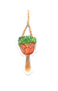 Hanging Succulent Pot Sticker