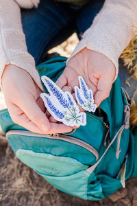 Woman holding two different sized lupine stickers. Hand painted designs of the native PNW plant reprinted on durable vinyl as a sticker,. They are purple with a light green stem and feature pink and blue highlights.