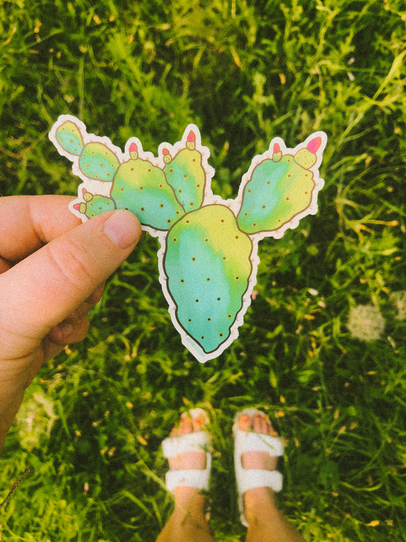 Prickly Pear Cactus Sticker