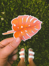 Pink Monstera Leaf Sticker