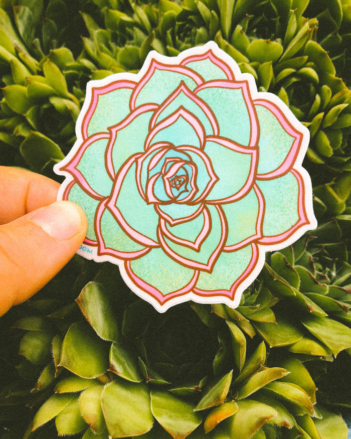 Pink & Green Succulent Sticker