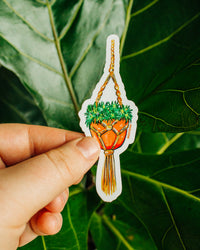 Hanging Succulent Pot Sticker