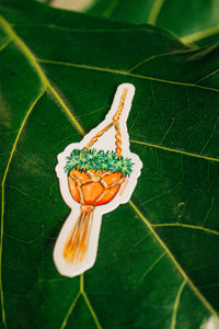 Hanging Succulent Pot Sticker