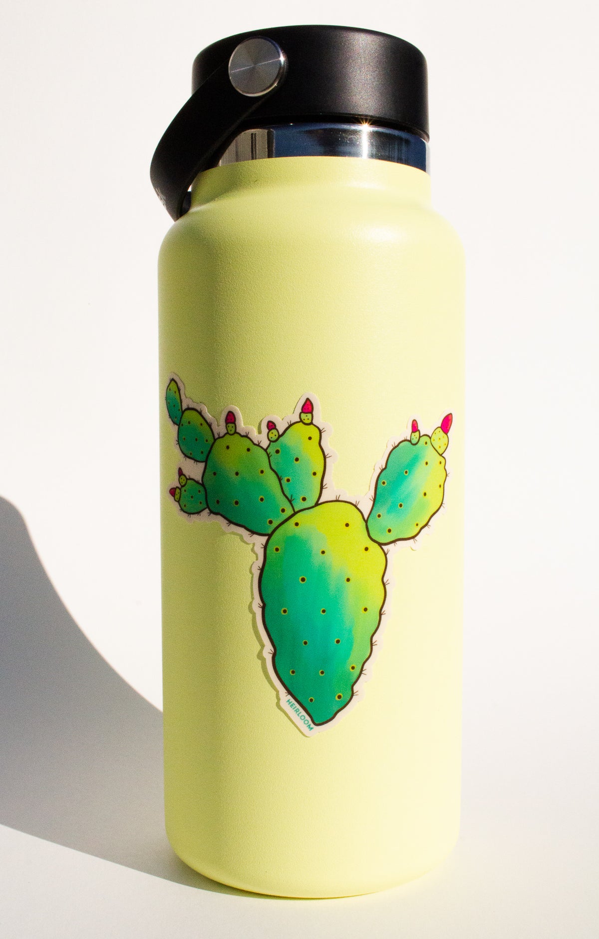 Prickly Pear Cactus Sticker