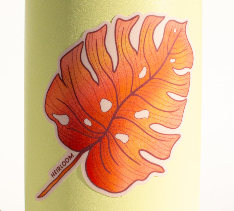 Pink Monstera Leaf Sticker