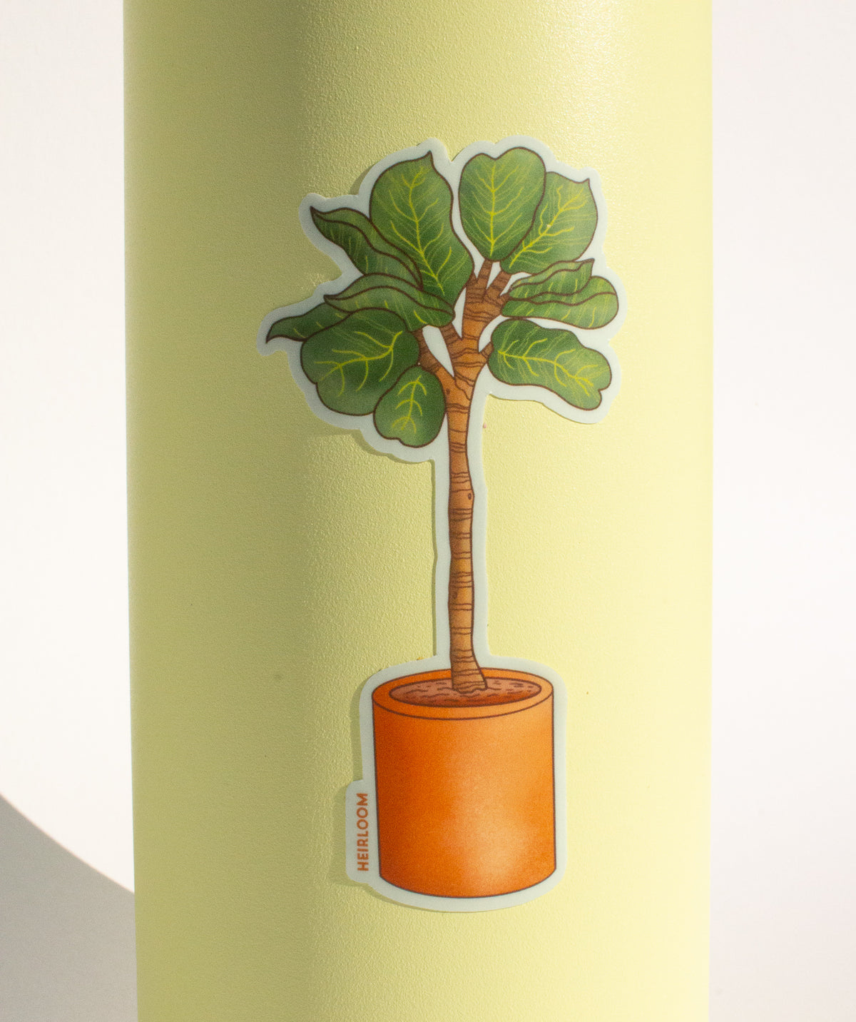 Fiddle Leaf Fig Sticker