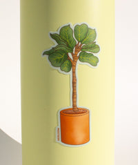 Fiddle Leaf Fig Sticker