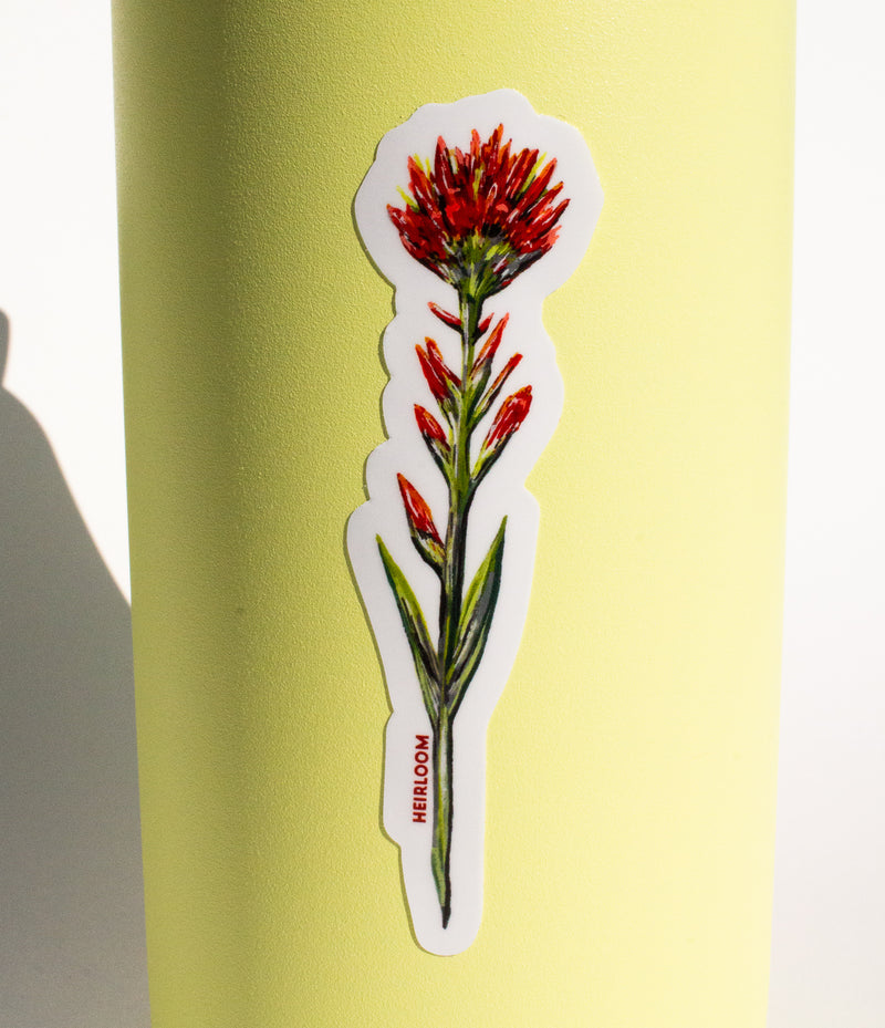 Red Paintbrush Wildflower Sticker