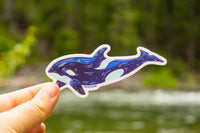 Orca Whale Sticker