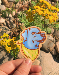 A sticker design featuring a blue-colored labrador with sweet brown eyes and the dog is wearing a little yellow bandana with cactus printed on it.