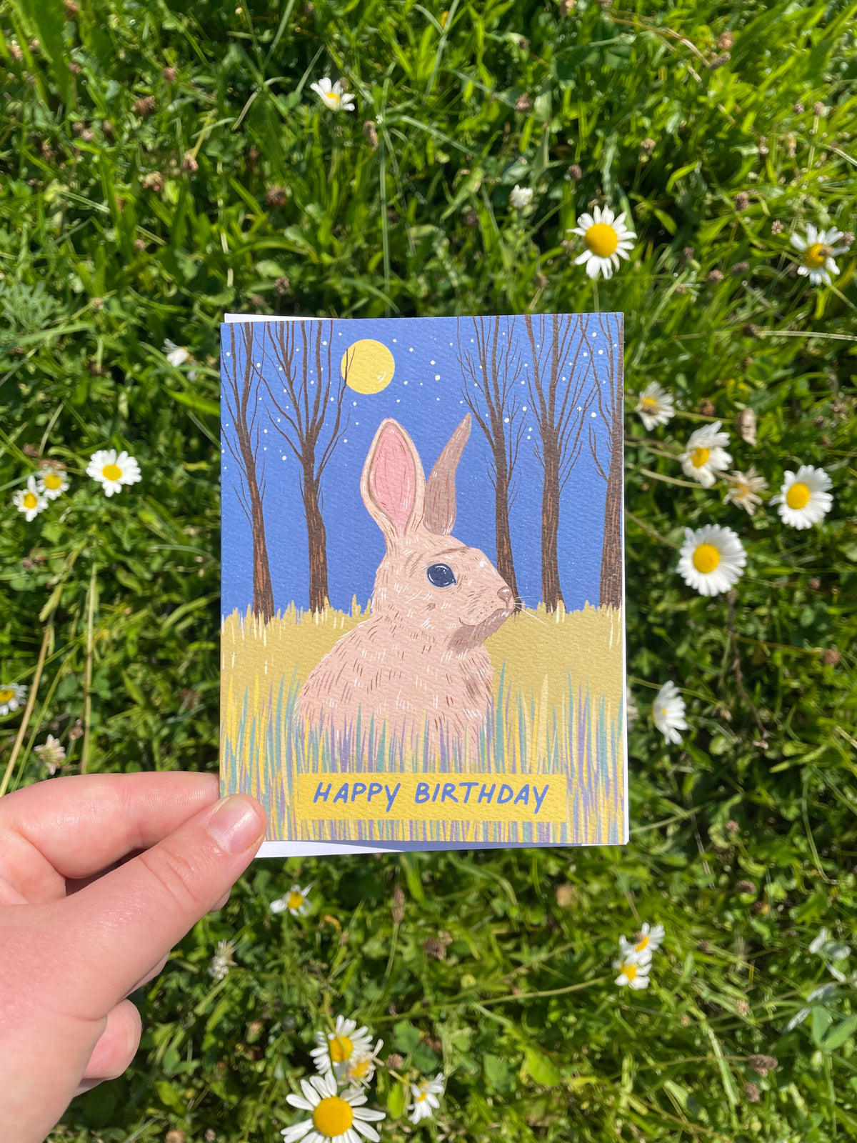 Field Rabbit Birthday Greeting Card