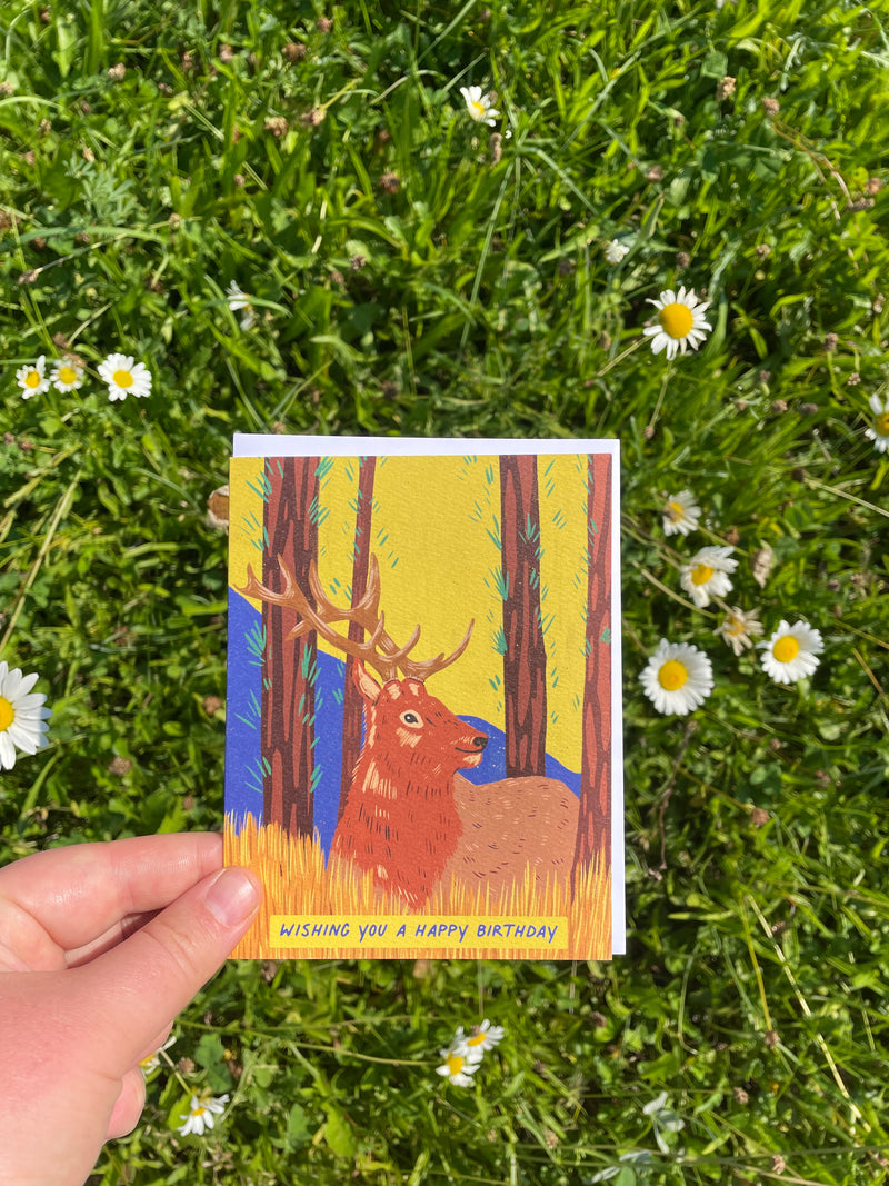 Mountain Elk Birthday Greeting Card