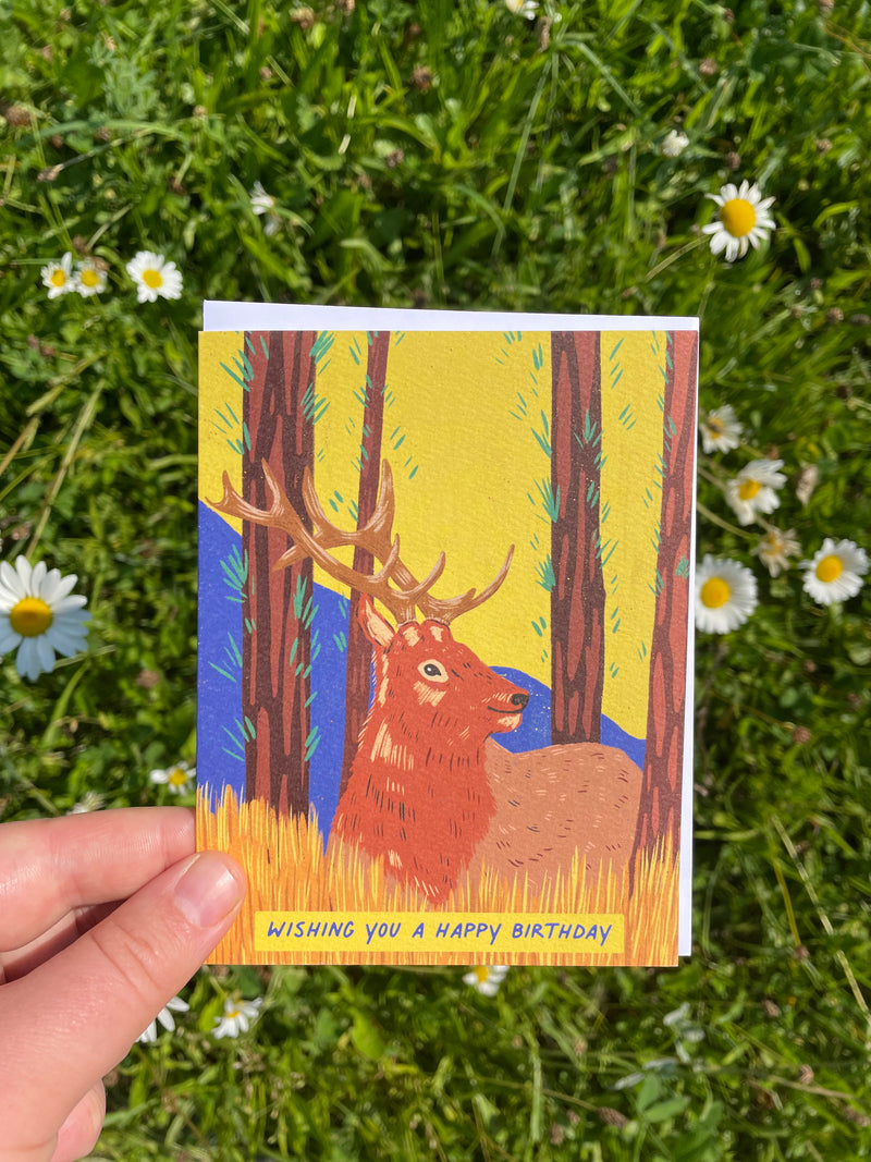 Mountain Elk Birthday Greeting Card