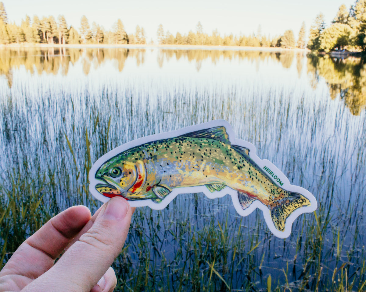 Trout Sticker (Cutthroat Trout)