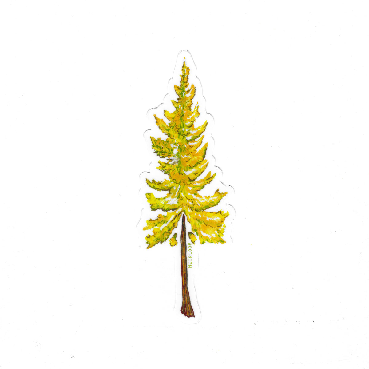 Larch Tree Sticker