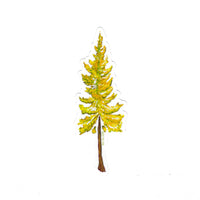 Larch Tree Sticker