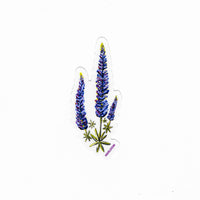 Lupine Wildflower Vinyl Sticker