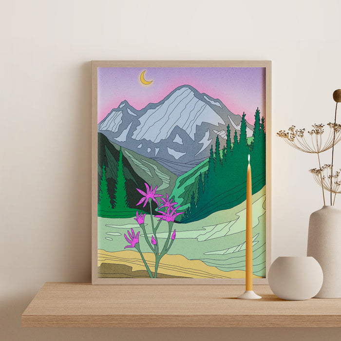 Mount Rainier Wildflower Art Print