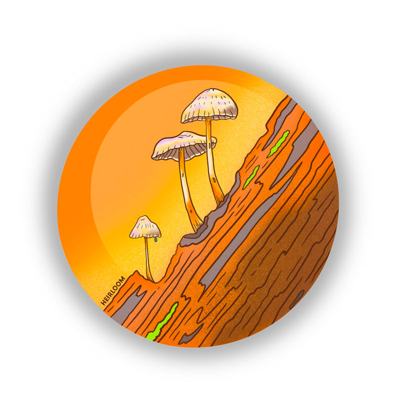 Mushroom Trio Sticker