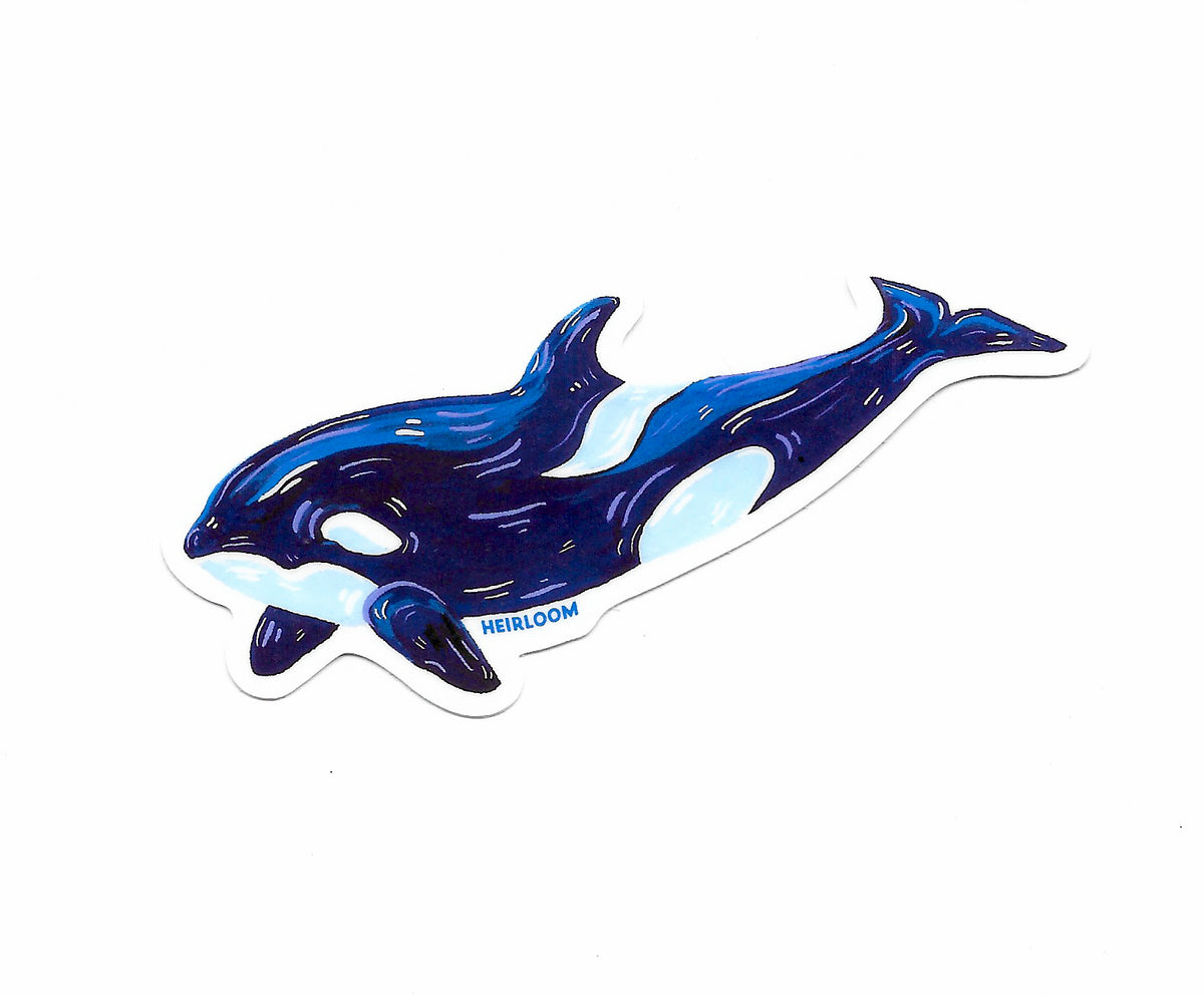 Orca Whale Sticker