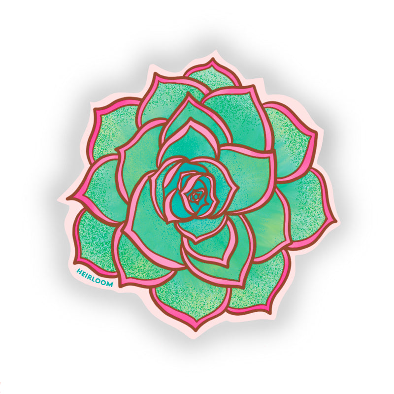 Pink & Green Succulent Sticker