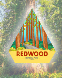 Redwood National Park Vinyl Sticker
