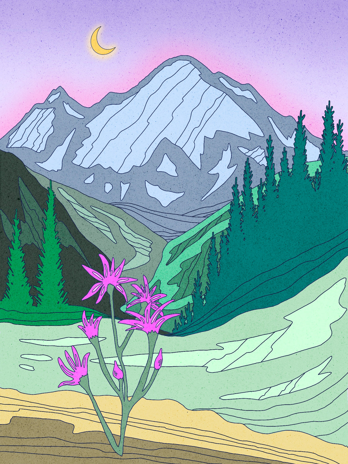 Mount Rainier Wildflower Art Print