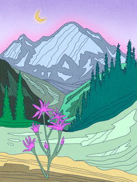 Mount Rainier Wildflower Art Print