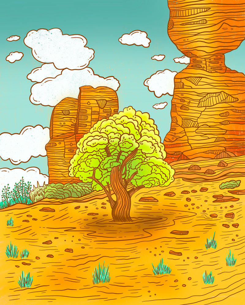 Desert Juniper Tree Art Print