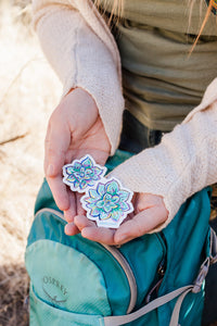 Woman holding a succulent sticker. It is a hand painted design that has been reprinted onto durable vinyl. It is a light green color and look similar to a flower it has highlights of yellows, blues, and purples.