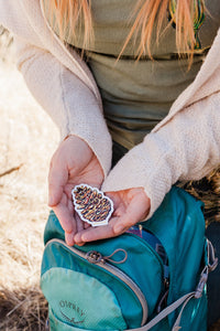 Woman holding a vinyl sticker with a pine cone painted on it. It is reprinted from a hand painted design on to a durable vinyl sticker. 
