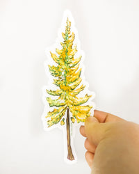 Larch Tree Sticker