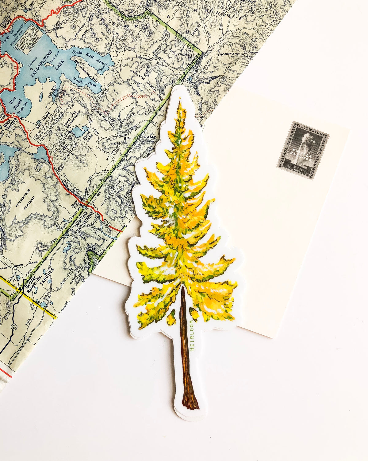 Larch Tree Sticker