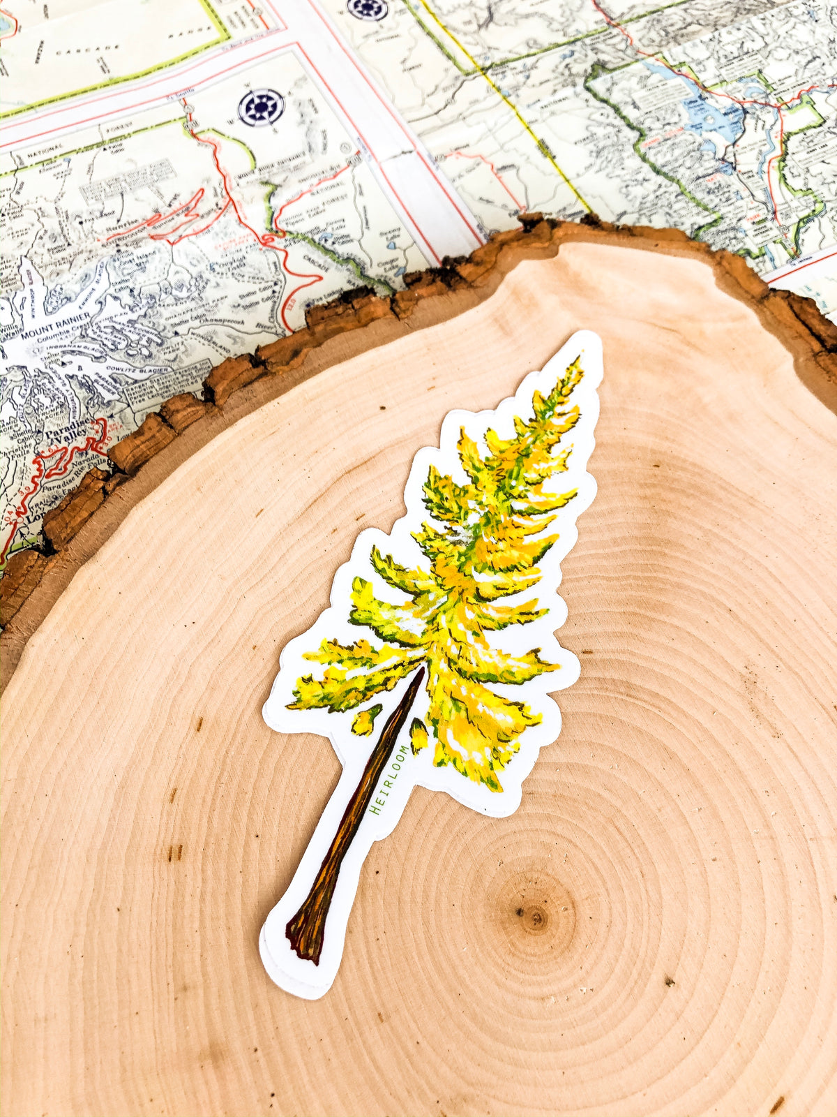 Larch Tree Sticker