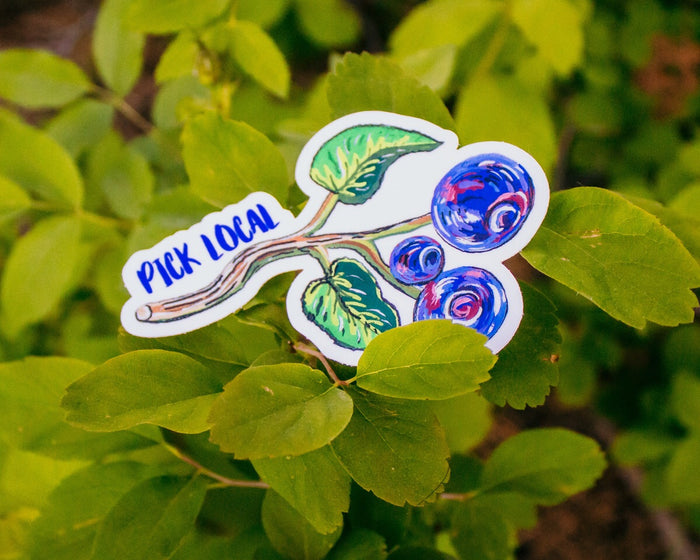 Pick Local Huckleberries Sticker